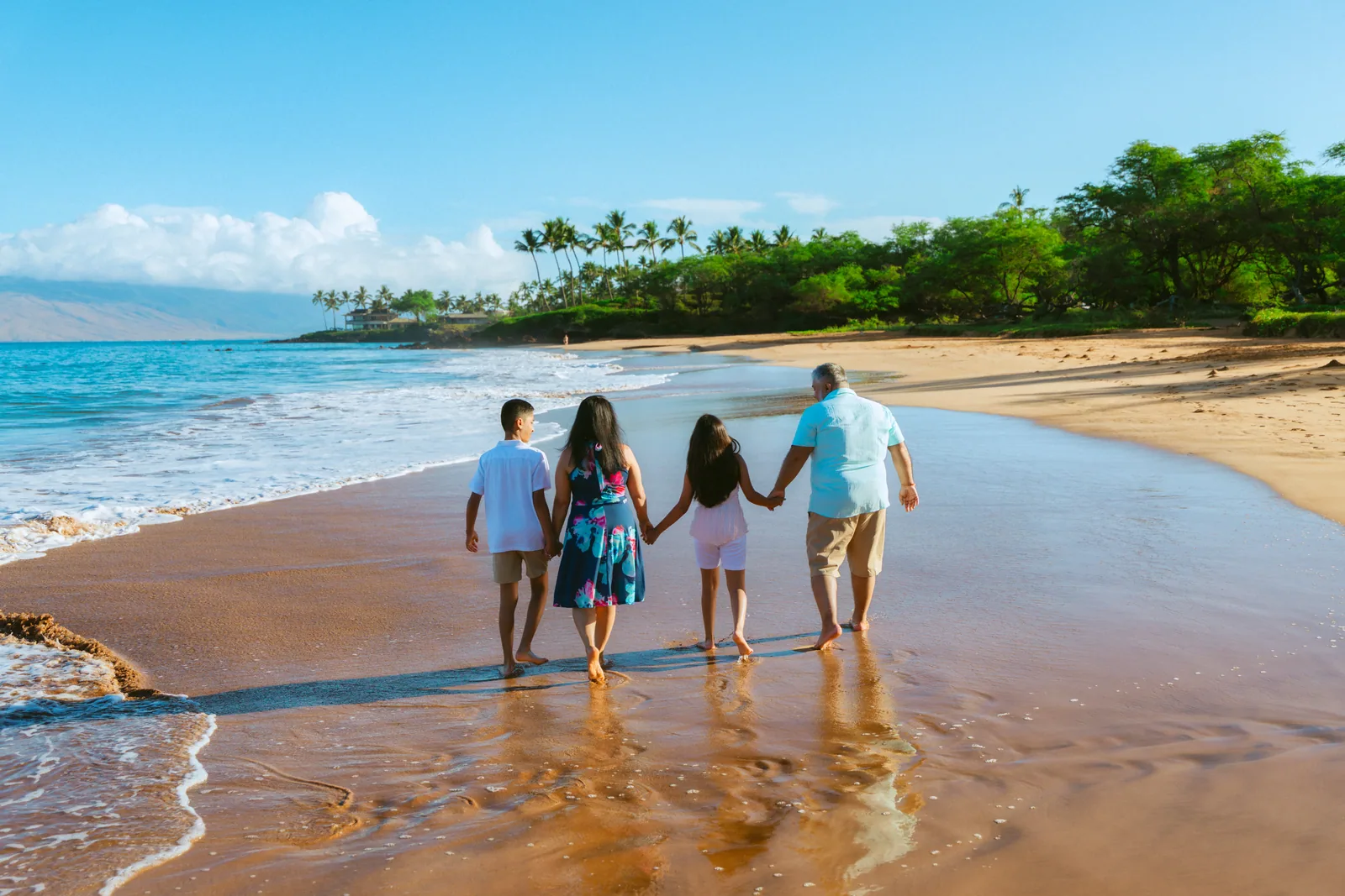 A family of four walking hand in hand into the shallows, seen from behind