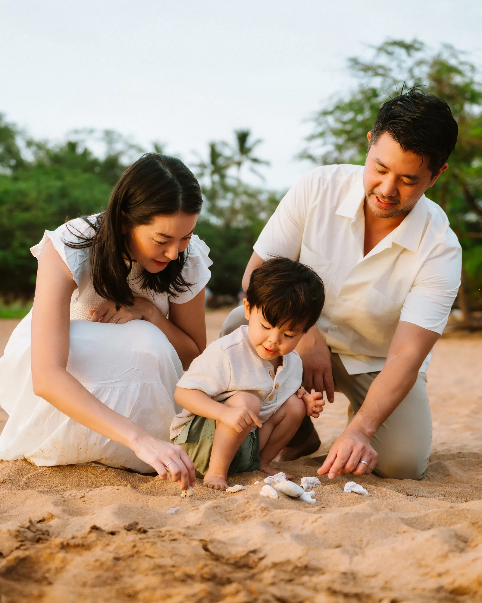 A family crouched together sorting shells they have collected on the sand