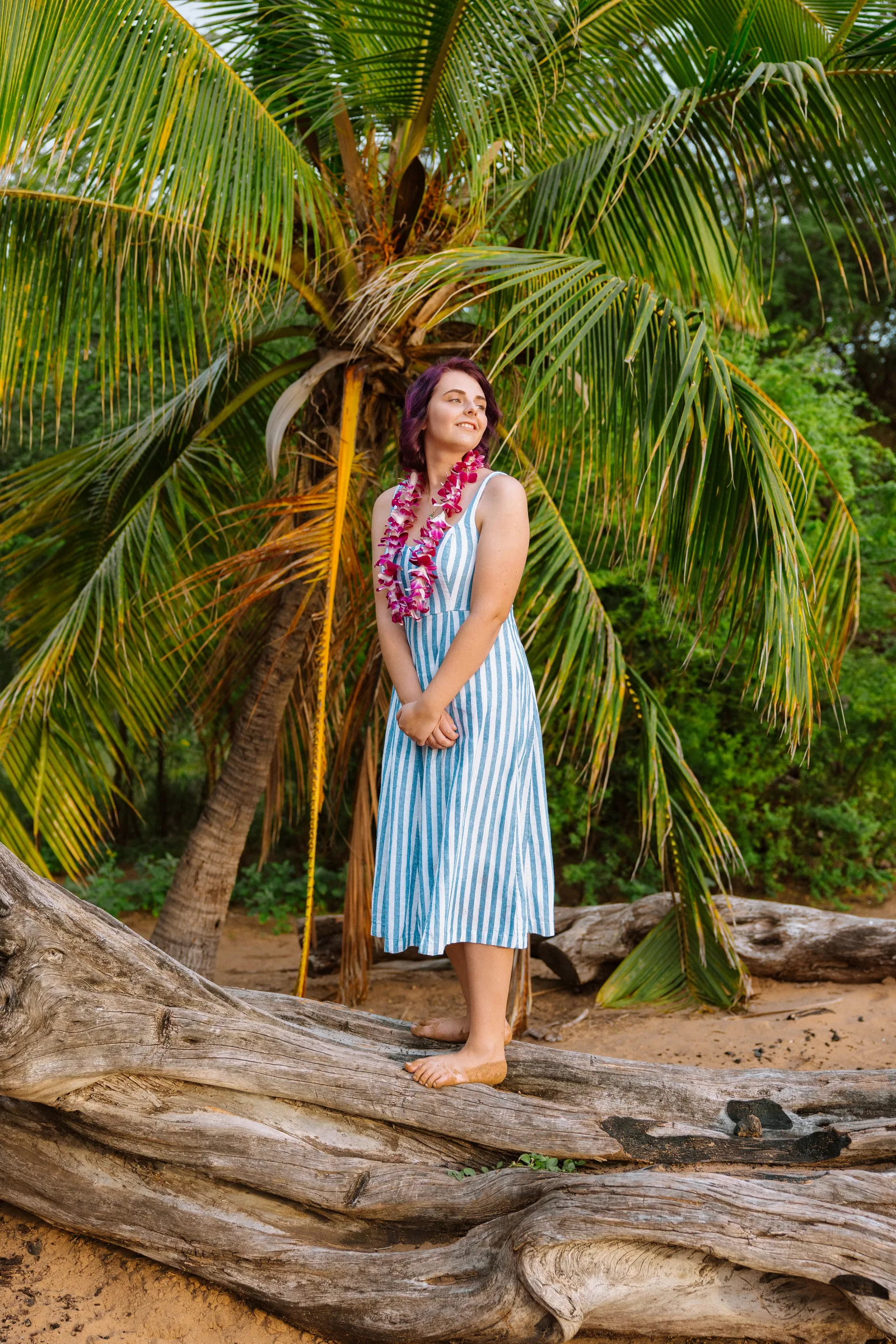 A senior portrait in a lei, standing on driftwood beneath a palm