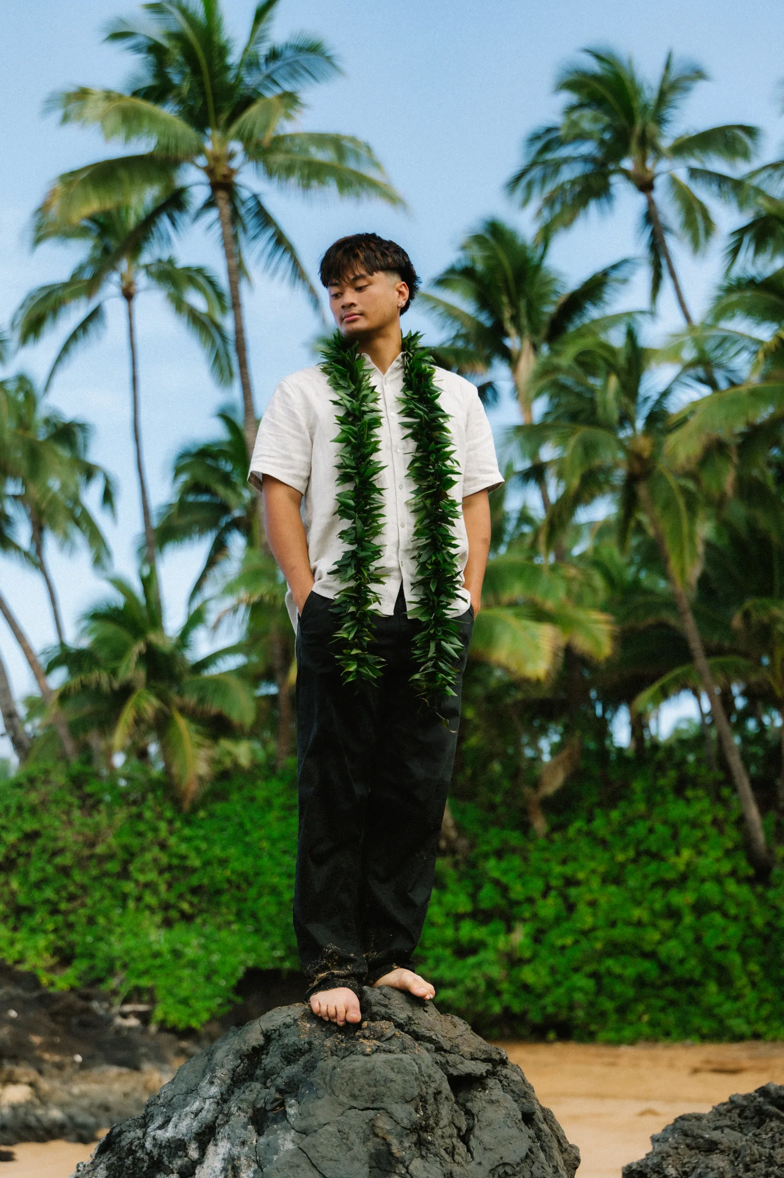 A senior portrait in a graduation lei with palms behind